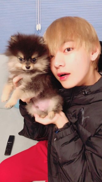 ชวนรู้จักน้องหมาสุดน่ารักของเหล่าซุปตาร์เกาหลี