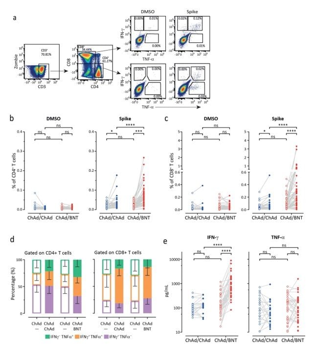 ฉีดวัคซีนแอสตร้าเซนเนก้า ต่อด้วย mRNA ป้องกันโควิด-19 ได้ทุกสายพันธุ์ ฉีดวัคซีนแอสตร้าเซนเนก้า ต่อด้วย mRNA ป้องกันโควิด-19 ได้ทุกสายพันธุ์