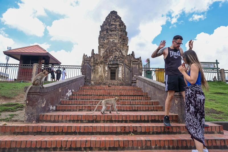 ลิงลพบุรี -- เจ้าบ้านเก่า ที่กลายเป็นแขกไม่ได้รับเชิญ ลิงลพบุรี -- เจ้าบ้านเก่า ที่กลายเป็นแขกไม่ได้รับเชิญ