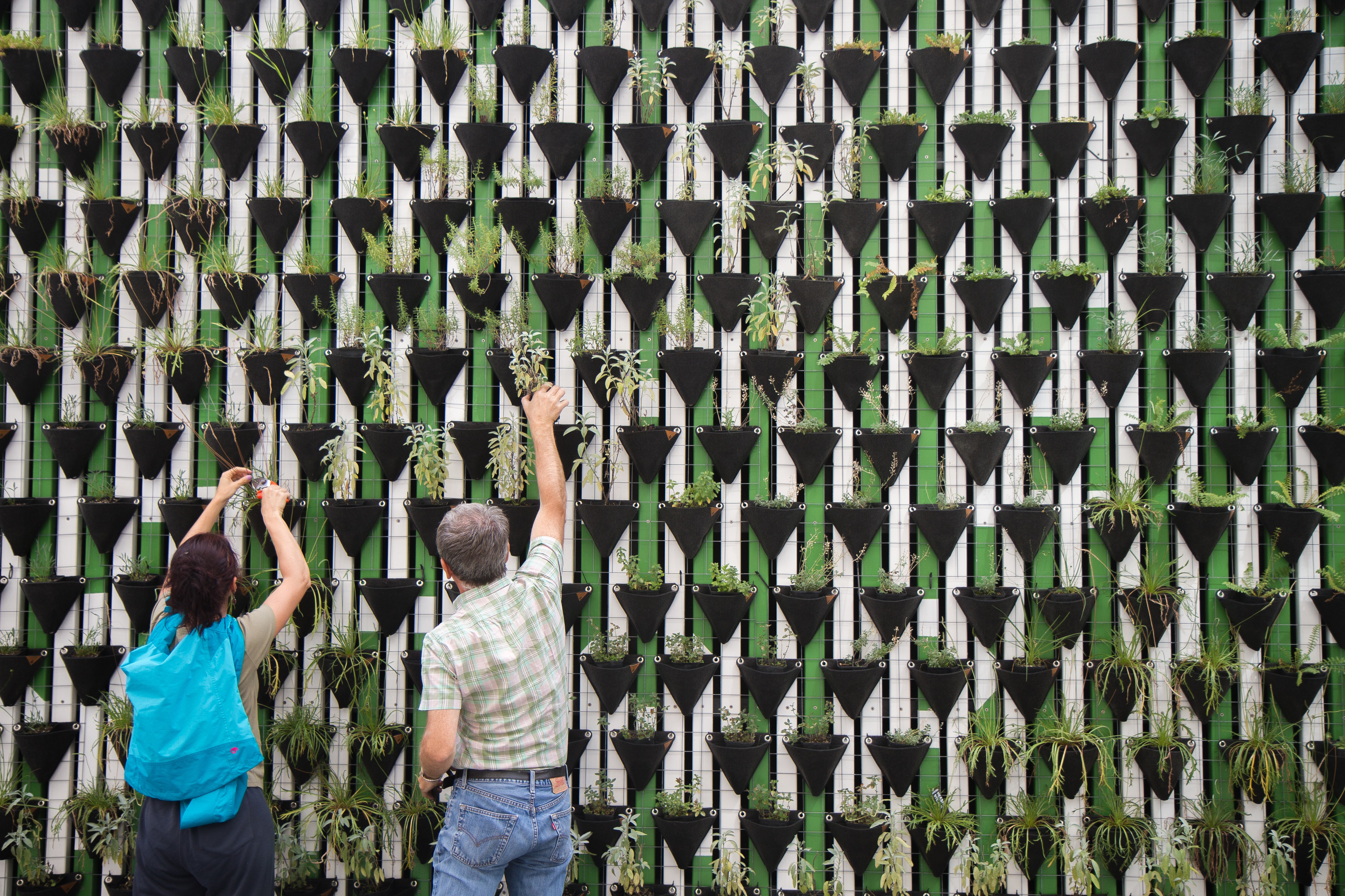 Apple ทุ่ม 200 ล้านดอลลาร์ฟื้นฟูป่า หวังกำจัด CO2!