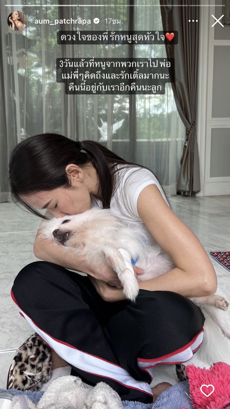 อั้ม สุดเศร้าจำใจต้องลาพี่เติ้ลน้องหมาสุดรักครั้งสุดท้าย