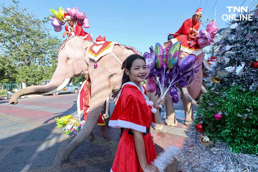 ช้างแปลงโฉมซานตาคลอส มอบความสุขในเทศกาลคริสต์มาส