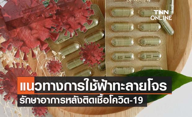 เปิดแนวทางการใช้ ‘ฟ้าทะลายโจร’ รักษาโควิดมีวิธีใช้อย่างไร