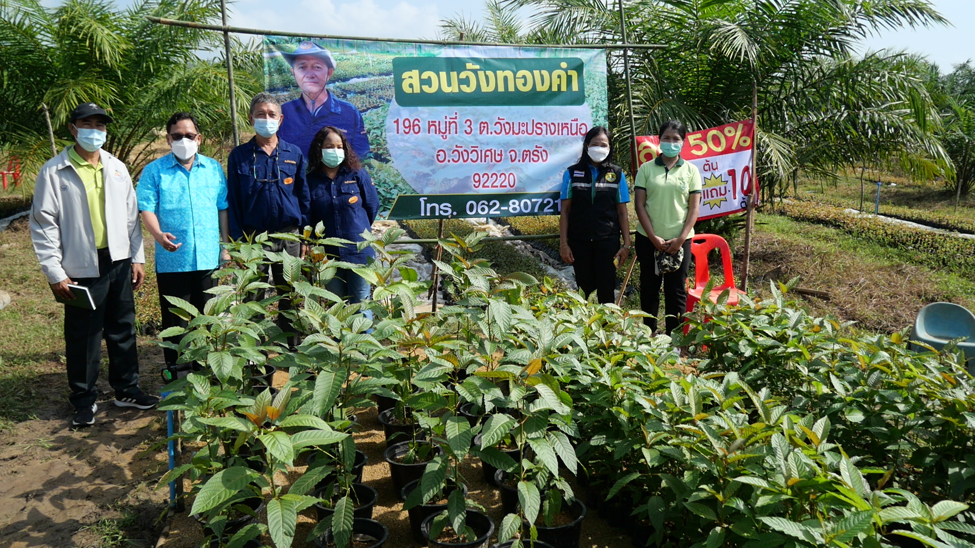 เปิดแปลงกระท่อมใหญ่สุดในภาคใต้-ขยายพันธุ์ร่วม 10 ล้านต้น เปิดแปลงกระท่อมใหญ่สุดในภาคใต้-ขยายพันธุ์ร่วม 10 ล้านต้น