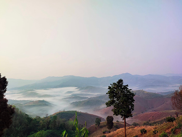 10 ที่เที่ยวน่าน เมืองสโลวไลฟ์ นอนดูทะเลดาวกลางดิน 10 ที่เที่ยวน่าน เมืองสโลวไลฟ์ นอนดูทะเลดาวกลางดิน