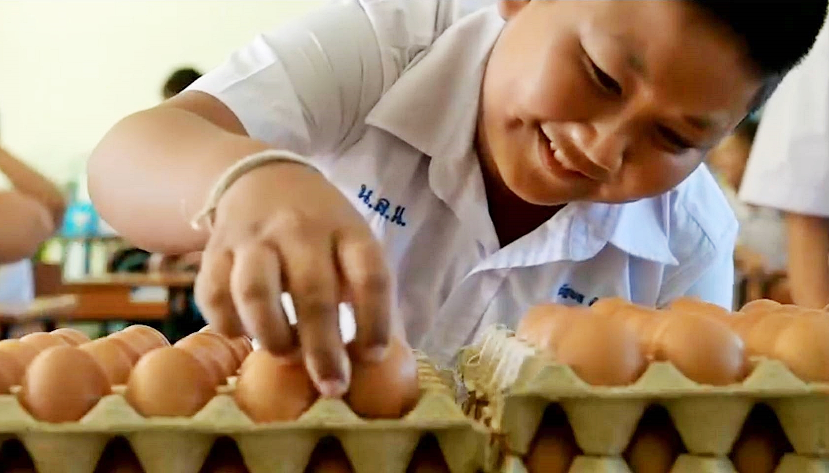 ซีพีเอฟเดินหน้าหนุน “โครงการเลี้ยงไก่ไข่เพื่ออาหารกลางวันนักเรียน” ซีพีเอฟเดินหน้าหนุน “โครงการเลี้ยงไก่ไข่เพื่ออาหารกลางวันนักเรียน”