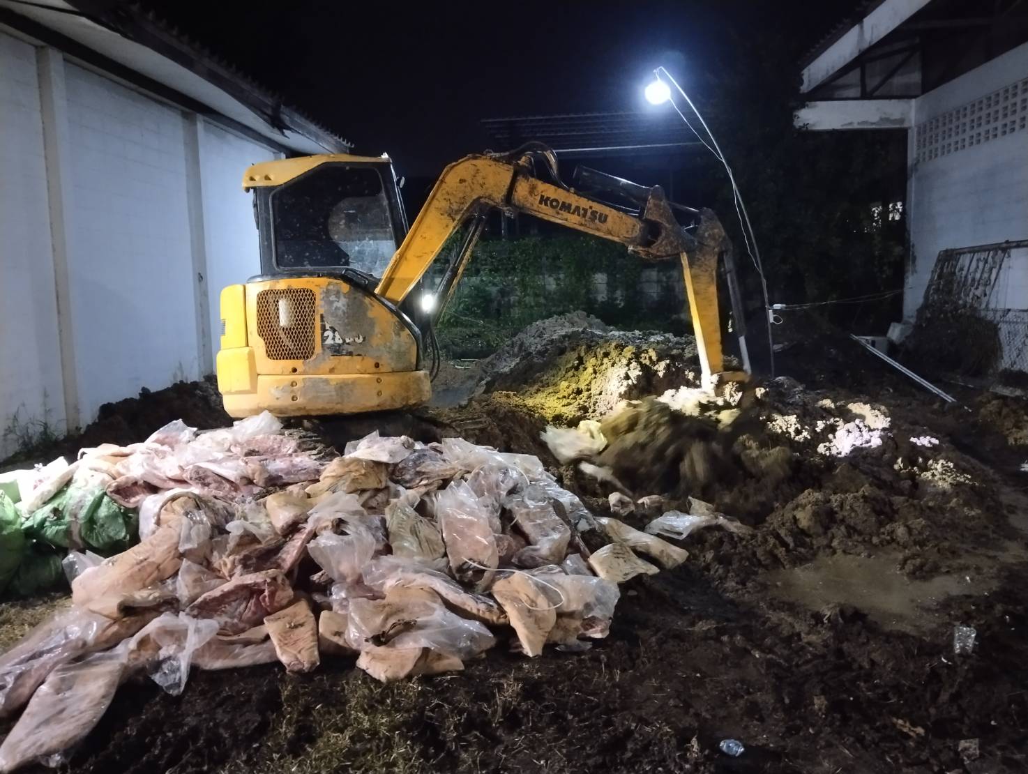 กรมปศุสัตว์ “เพชรฆาต” หมูเถื่อน กรมปศุสัตว์ “เพชรฆาต” หมูเถื่อน