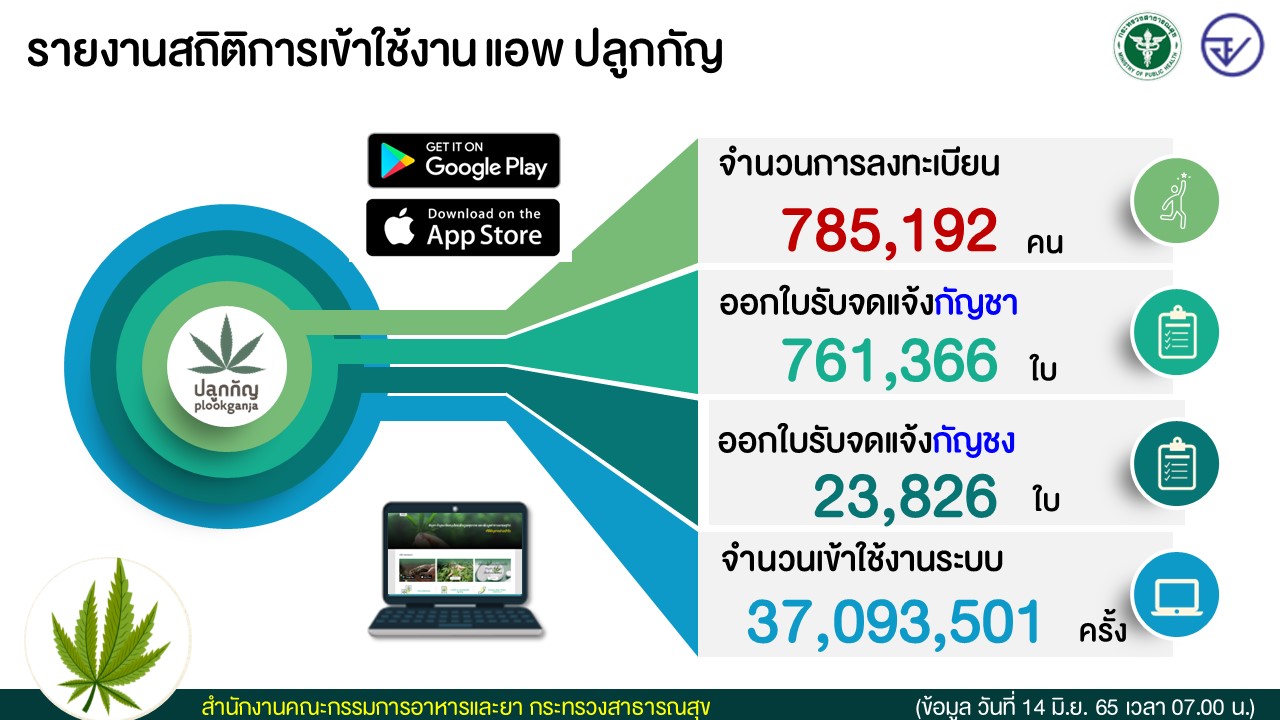 ลงทะเบียนปลูกกัญชา ล่าสุดปชช.จดแจ้งแล้ว 7.8 แสนคน