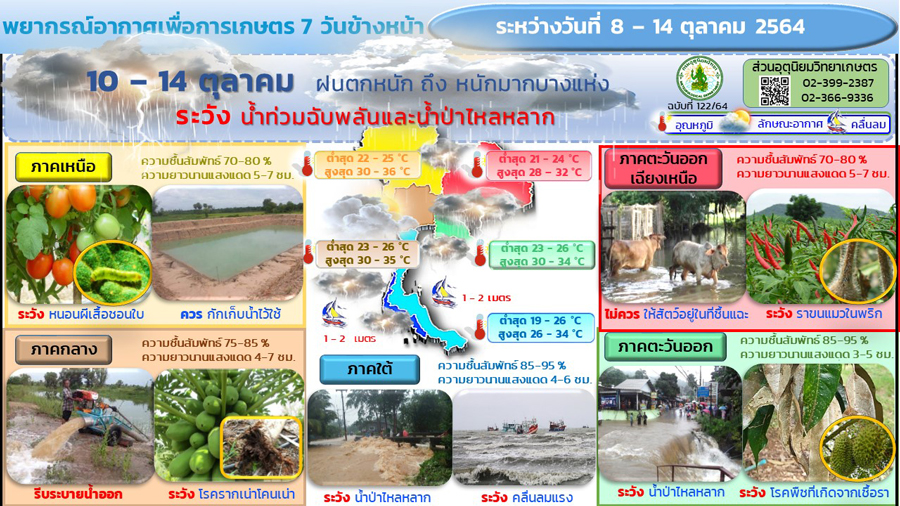 กรมอุตุฯประกาศเตือน พายุโซนร้อนไลออนร็อก ฉบับที่ 11 กรมอุตุฯประกาศเตือน พายุโซนร้อนไลออนร็อก ฉบับที่ 11