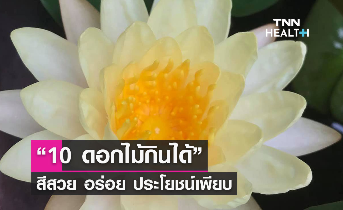 “10 ดอกไม้กินได้” สีสวย อร่อย ประโยชน์เพียบ “10 ดอกไม้กินได้” สีสวย อร่อย ประโยชน์เพียบ