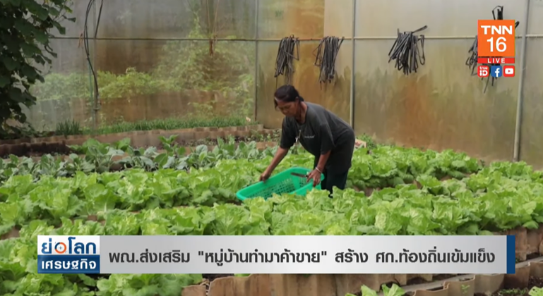 พาณิชย์ส่งเสริม หมู่บ้านทำมาค้าขาย สร้างเศรษฐกิจท้องถิ่นเข้มแข็ง พาณิชย์ส่งเสริม หมู่บ้านทำมาค้าขาย สร้างเศรษฐกิจท้องถิ่นเข้มแข็ง