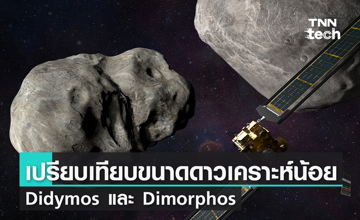 เปรียบเทียบขนาดดาวเคราะห์น้อย Didymos และ Dimorphos เป้าหมายในภารกิจ DART 