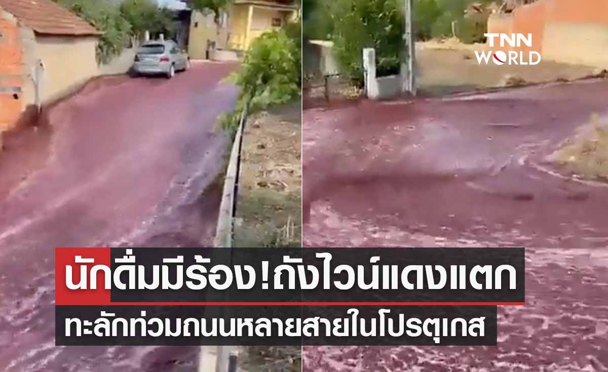 นักดื่มต้องหลั่งน้ำตา! ถังไวน์แดงแตกท่วมถนนในเมืองโปรตุเกส