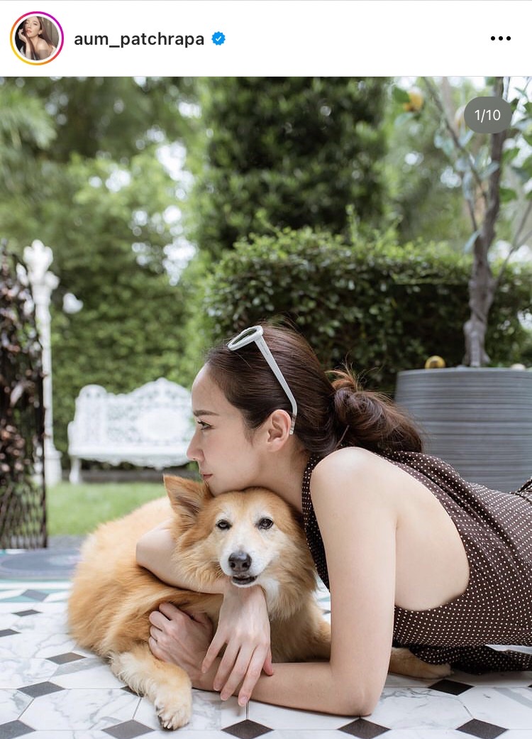 อั้ม สุดเศร้าจำใจต้องลาพี่เติ้ลน้องหมาสุดรักครั้งสุดท้าย