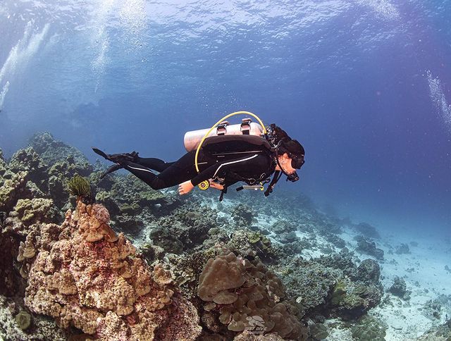 'พิชญ์-มารี' มีภาพดำน้ำ-สวีทริมหาด ตอกย้ำกระแสคบกัน 'พิชญ์-มารี' มีภาพดำน้ำ-สวีทริมหาด ตอกย้ำกระแสคบกัน