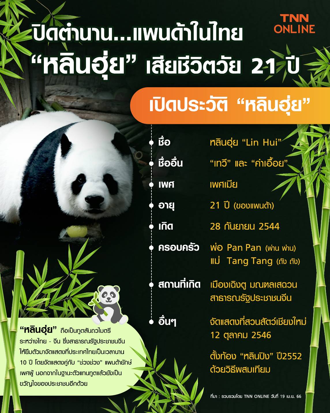  หลินฮุ่ยเสียชีวิต! สวนสัตว์เชียงใหม่ แถลงกรณีแชร์ภาพเลือดกำเดาไหล