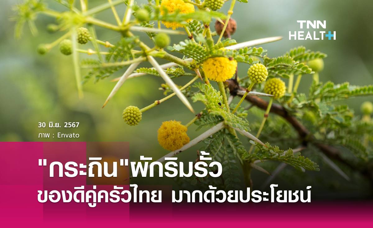 ประโยชน์ของ"กระถิน"ผักริมรั้ว คู่ครัวไทย