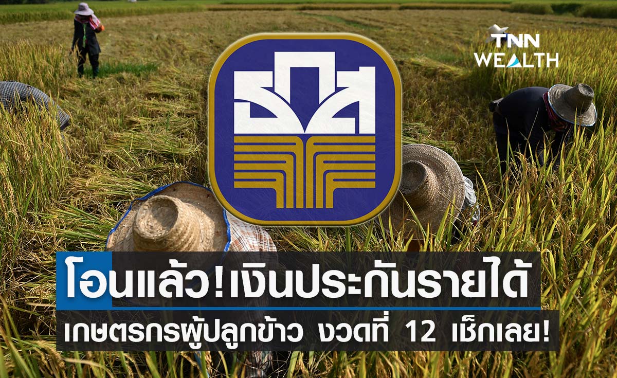 เช็กเลย! ธ.ก.ส. โอนเงินประกันรายได้ให้ชาวนางวด 12 วันนี้ เท่าไหร่? เช็กเลย! ธ.ก.ส. โอนเงินประกันรายได้ให้ชาวนางวด 12 วันนี้ เท่าไหร่?