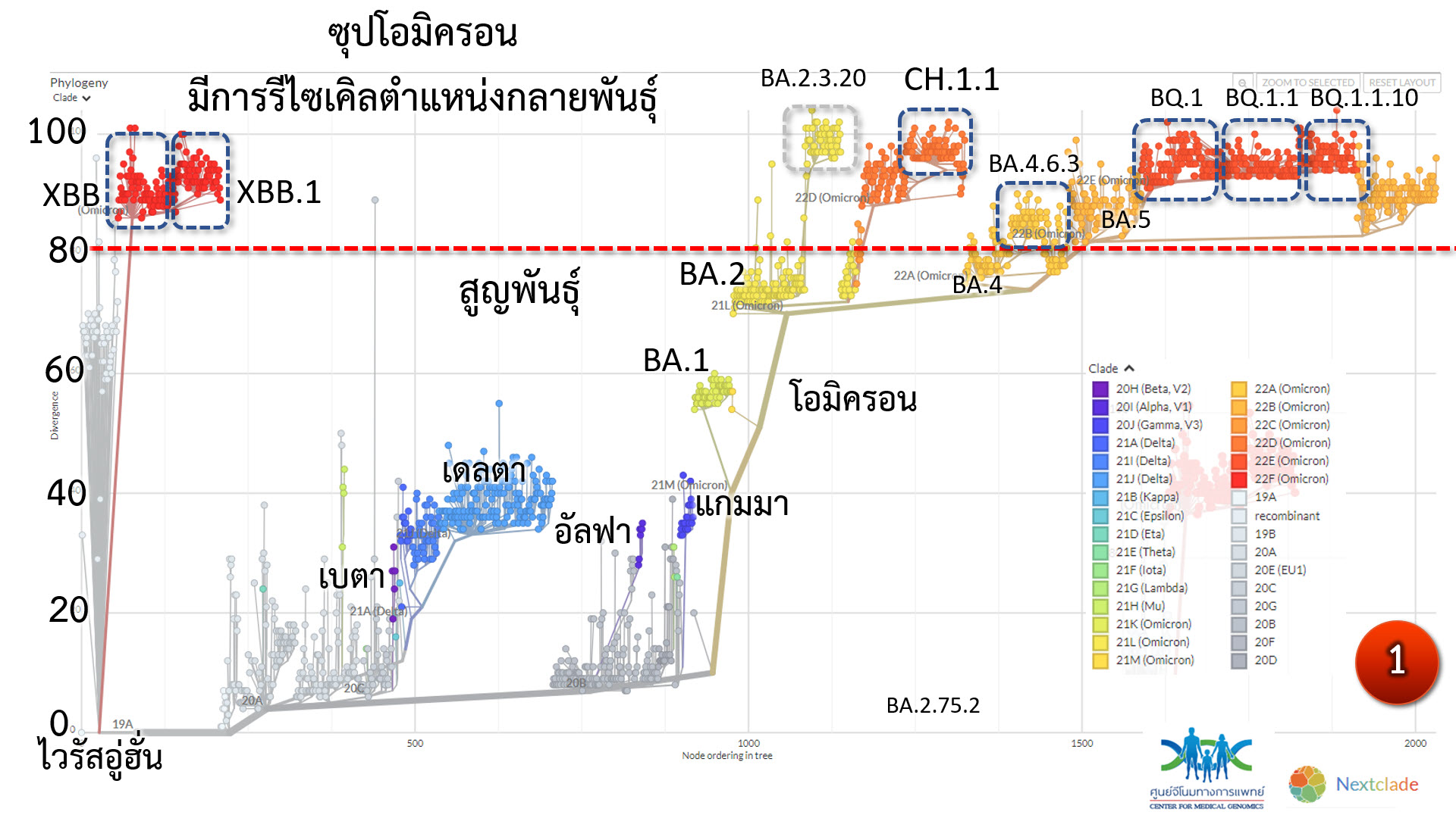 เปิด 5 สายพันธุ์ย่อยสมาชิก ซุปโอมิครอน ที่ต้องเฝ้าติดตาม