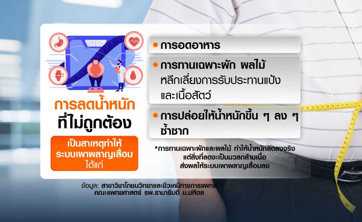 ระบบเผาผลาญพัง คุมอาหาร-ออกกำลังกายก็ไม่ผอม ระบบเผาผลาญพัง คุมอาหาร-ออกกำลังกายก็ไม่ผอม