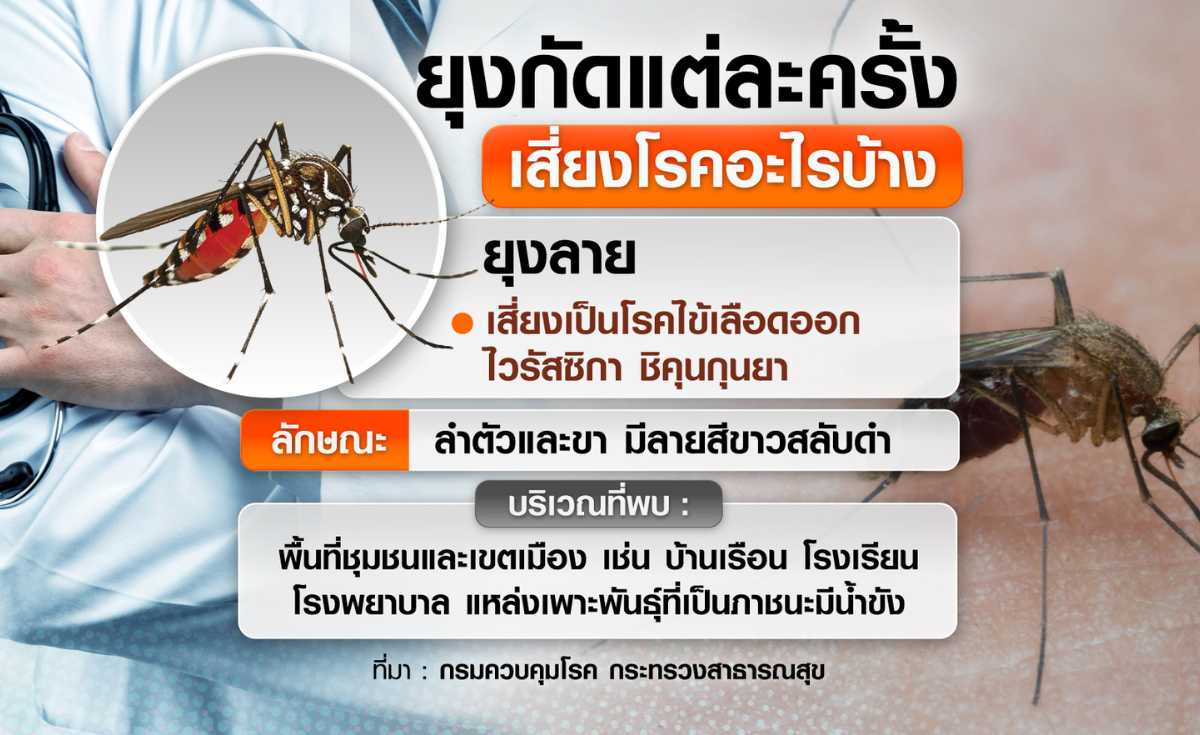 ยุงกัดแต่ละครั้ง เสี่ยงโรคอะไรบ้าง ยุงกัดแต่ละครั้ง เสี่ยงโรคอะไรบ้าง