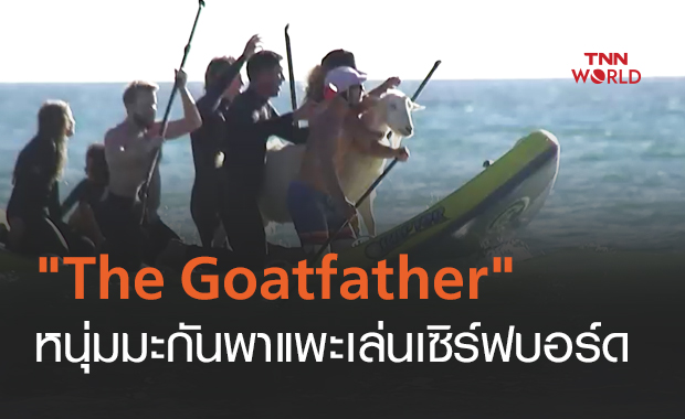 The Goatfather หนุ่มอเมริกัน พาแพะไปเล่นเซิร์ฟบอร์ด