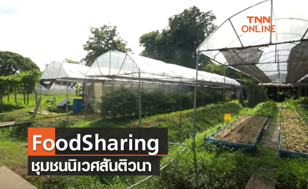 (คลิป) FoodSharing ชุมชนนิเวศสันติวนา