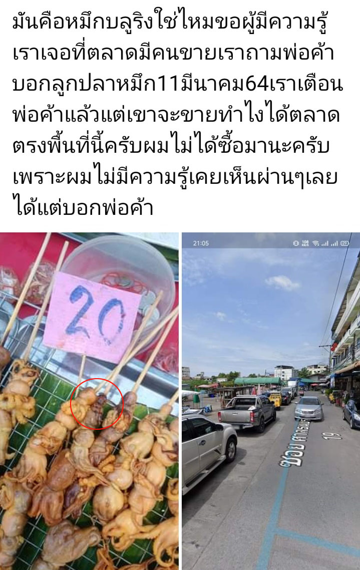 เตือนอีกครั้ง! ‘หมึกบลูริง’ พิษรุนแรงกว่างูเห่า 20 เท่า โดนแล้วเป็นตายเท่ากัน