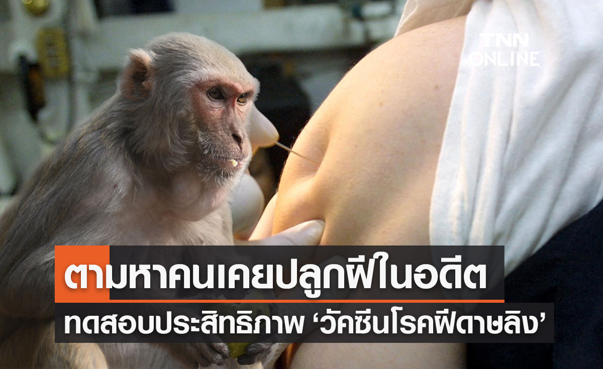 กรมวิทย์ฯ เตรียมหาอาสาสมัครเคย "ปลูกฝี" ในอดีต ทดสอบวัคซีนโรคฝีดาษลิง