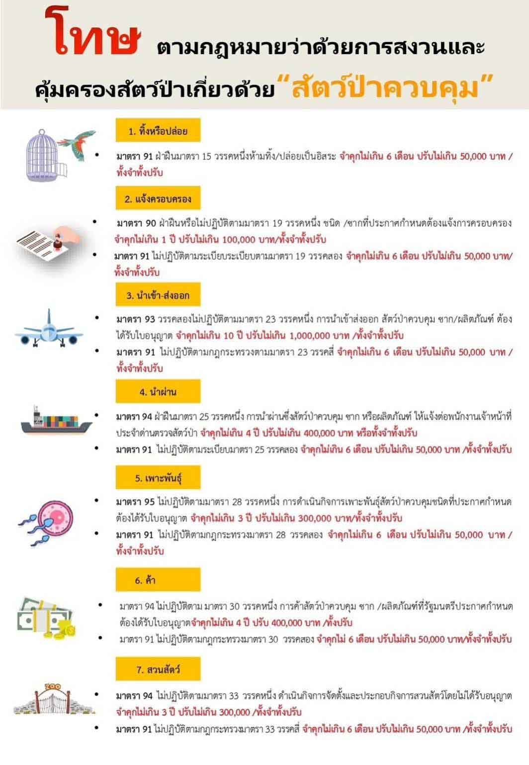 'จากป่า มาสู่กรุง' เปิดข้อกฎหมาย 'สิงโต' นั่งเบนท์ลีย์ เมื่อ 'สัตว์ป่า' กลายเป็น 'สัตว์เลี้ยง' 'จากป่า มาสู่กรุง' เปิดข้อกฎหมาย 'สิงโต' นั่งเบนท์ลีย์ เมื่อ 'สัตว์ป่า' กลายเป็น 'สัตว์เลี้ยง'