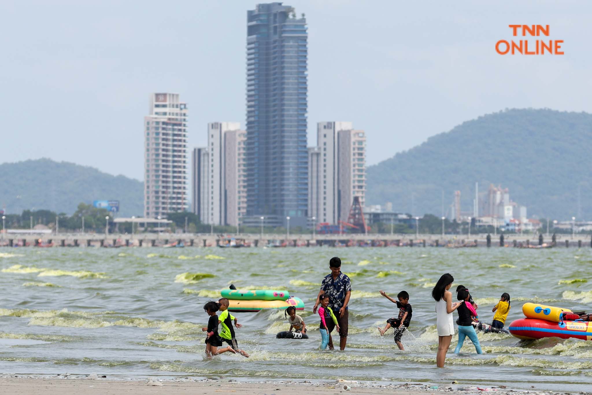 บางแสนน้ำทะเลสีเขียว จาก แพลงก์ตอนบลูม กระทบ นทท. บางตา