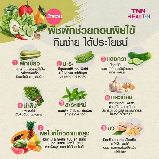มัดรวม พืชผักช่วยถอนพิษไข้ กินง่าย ได้ประโยชน์ มัดรวม พืชผักช่วยถอนพิษไข้ กินง่าย ได้ประโยชน์