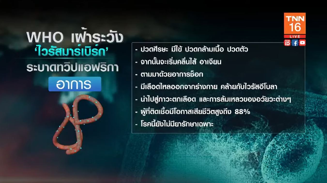 จับตา! ไวรัส มาร์เบิร์ก มาใหม่ แรงเท่า อีโบลา โอกาสเสียชีวิตสูงถึง 88%