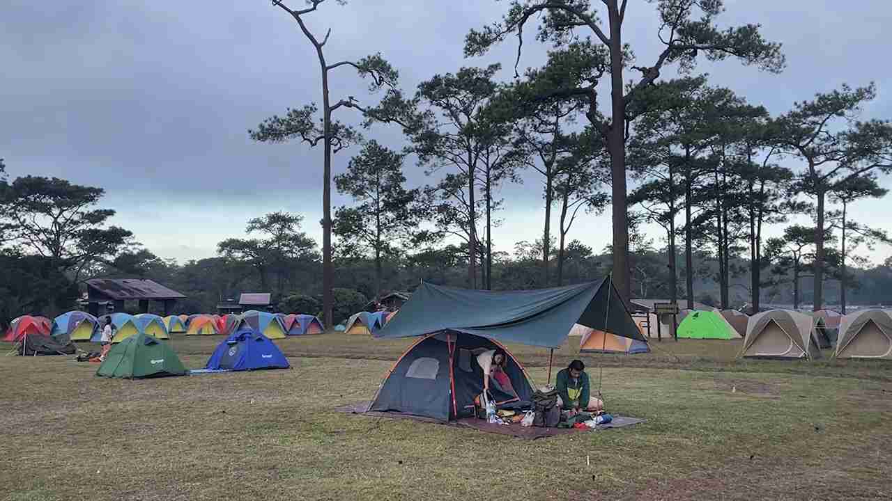 ภูกระดึง เย็นยะเยือกอุณหภูมิเหลือ 10.5 องศาฯ แนวโน้มลดลงต่อเนื่อง