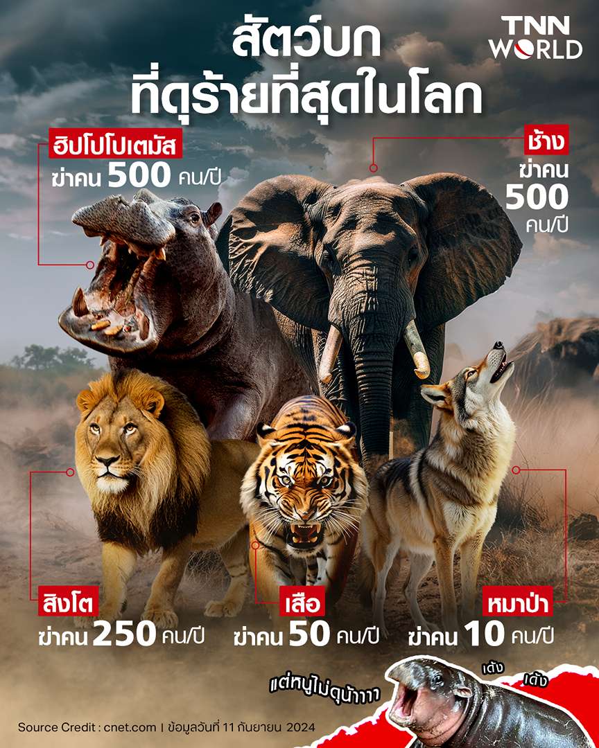 เผยรายชื่อสัตว์บกดุร้ายที่สุด ฮิปโป-ช้างสังหารรวม 1 พันคนต่อปี เผยรายชื่อสัตว์บกดุร้ายที่สุด ฮิปโป-ช้างสังหารรวม 1 พันคนต่อปี