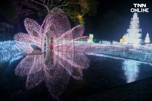 อลังการงานไฟฝีมือคนไทย Nasatta Light Festival Winter Illumination ที่ ณ สัทธา อุทยานไทย จังหวัดราชบุรี อลังการงานไฟฝีมือคนไทย Nasatta Light Festival Winter Illumination ที่ ณ สัทธา อุทยานไทย จังหวัดราชบุรี