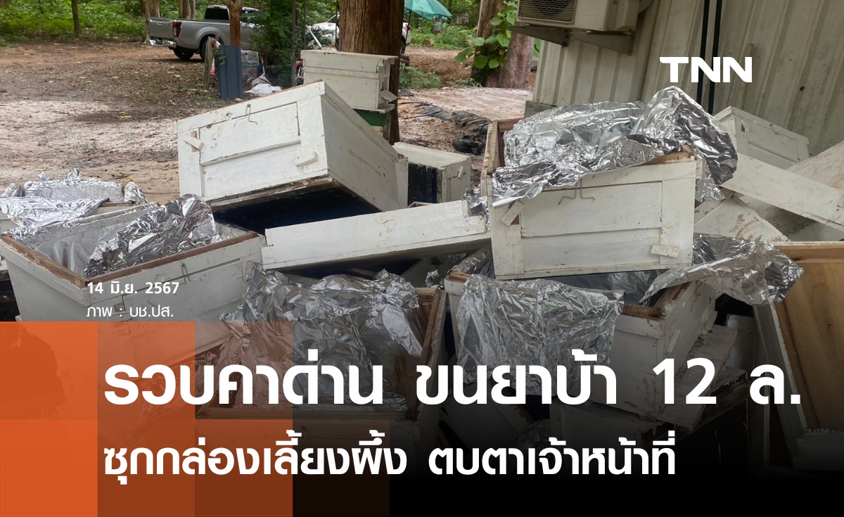รวบคาด่าน ขน"ยาบ้า" 12 ล้านเม็ด ซุกกล่องเลี้ยงผึ้ง