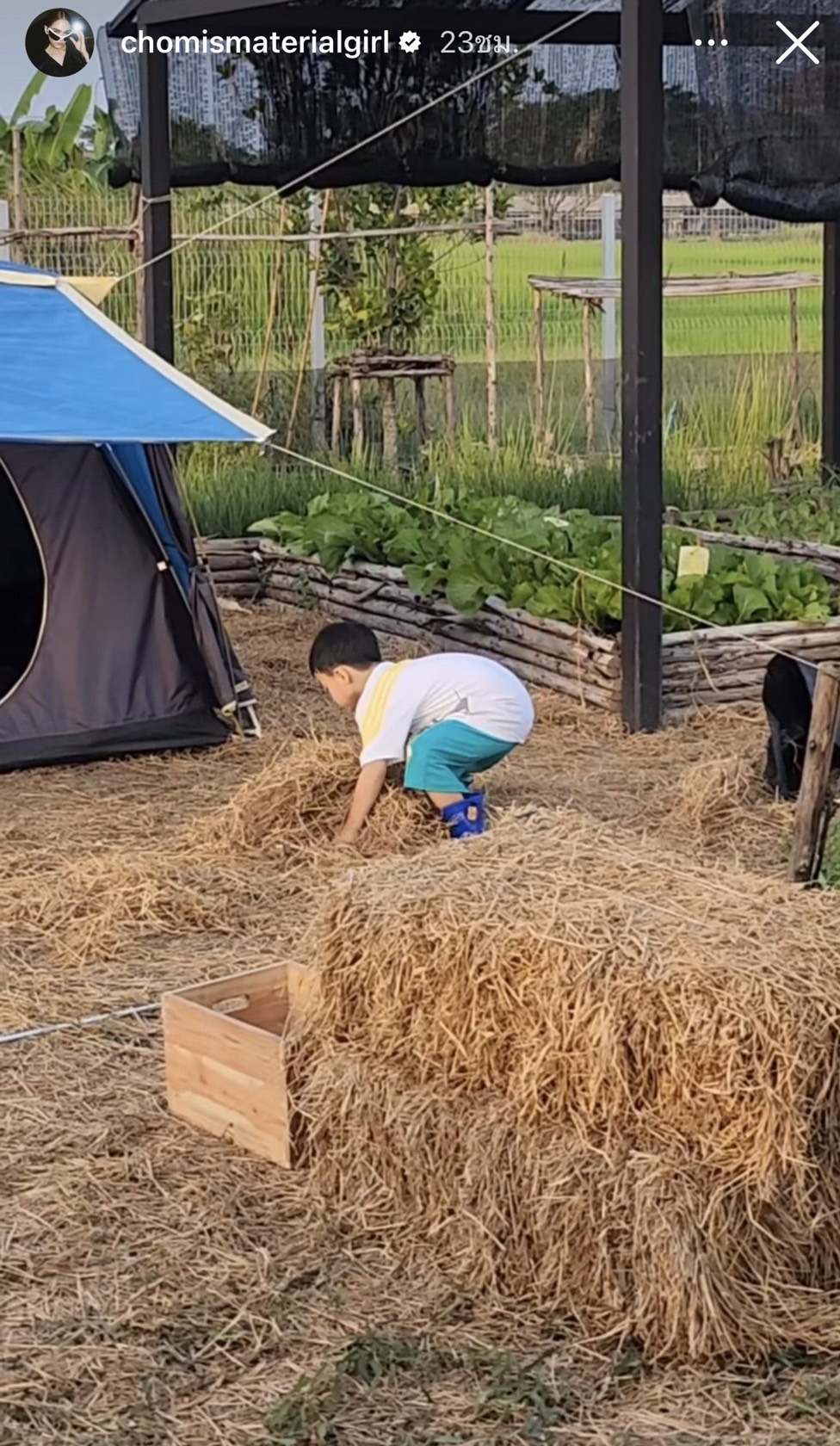 ทายาทหมื่นล้าน น้องพายุ ลูกชายพ่อน็อต-แม่ชม หอบฟางทำงานอย่างเซียน! ทายาทหมื่นล้าน น้องพายุ ลูกชายพ่อน็อต-แม่ชม หอบฟางทำงานอย่างเซียน!