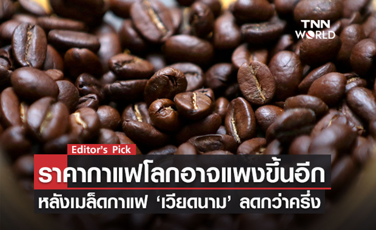 ราคากาแฟโลกอาจแพงขึ้นอีก หลังเมล็ดกาแฟ ‘เวียดนาม’ ลดกว่าครึ่ง 