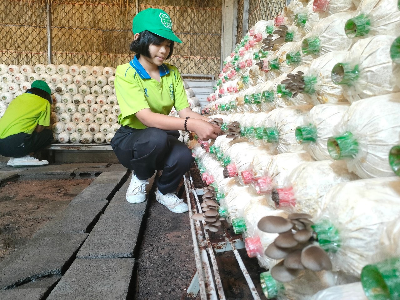 CPF ร่วมสร้างยุวเกษตรให้น้องๆรร.บ้านบุเขว้าจ.นครราชสีมา  ในโครงการคอนเน็กซ์ อีดี