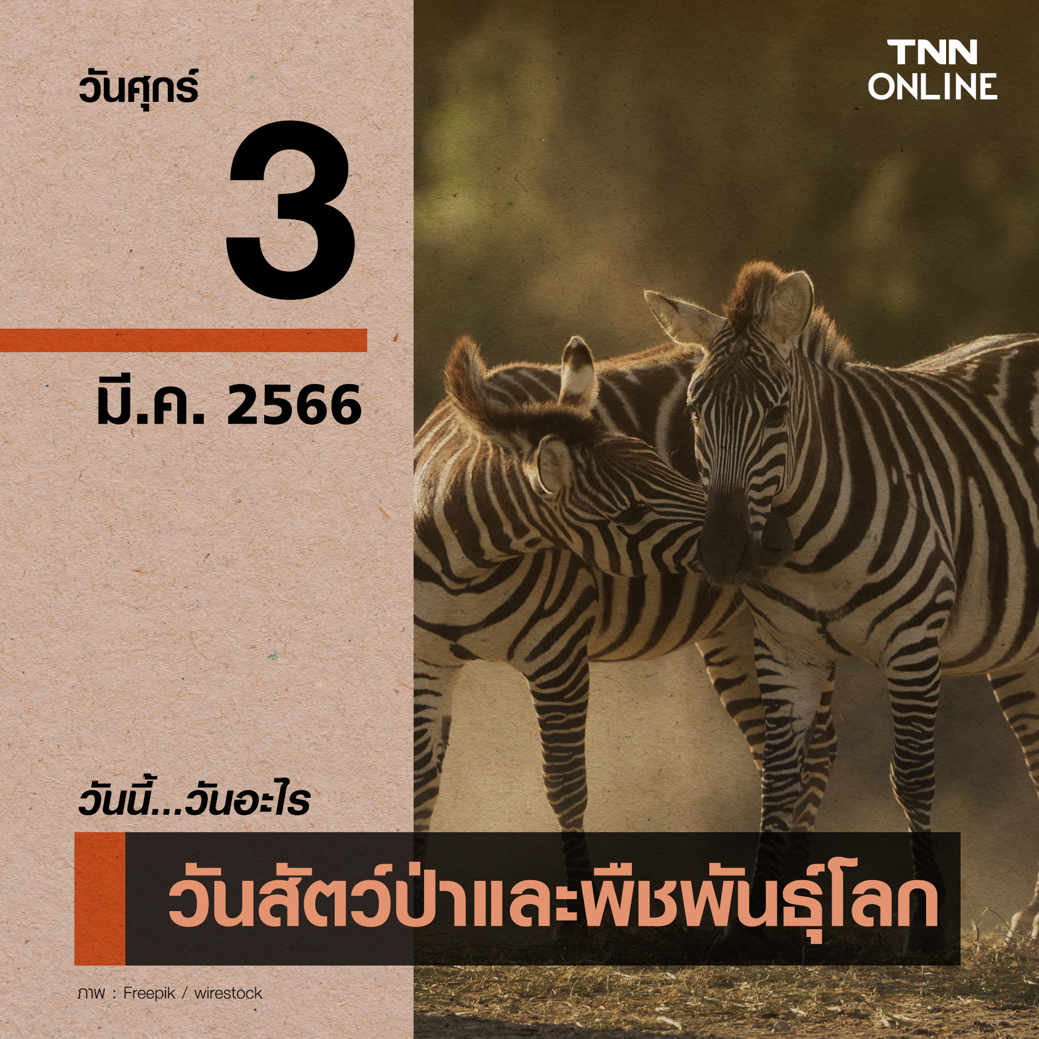 วันนี้วันอะไร วันสัตว์ป่าและพืชพันธุ์โลก ตรงกับวันที่ 3 มีนาคม