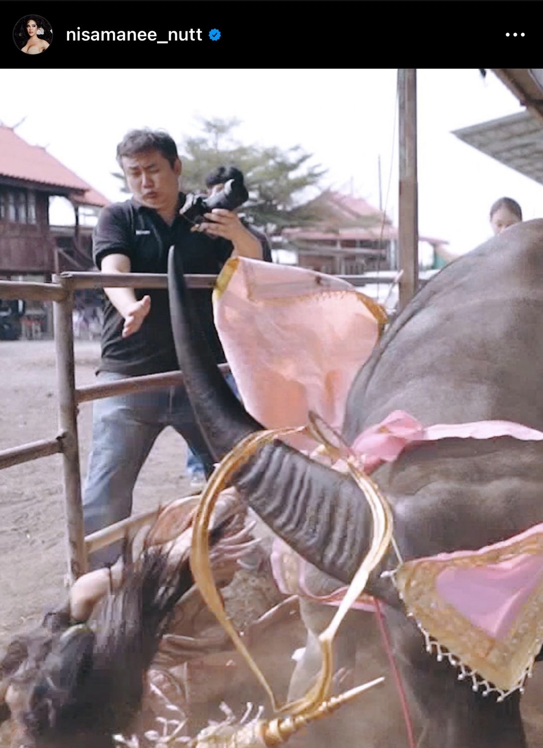 ทุ่มเทสุดๆ นัท นิสามณี หวิดดับ ถ่ายคอนเทนต์ พลาดตกหลังควาย