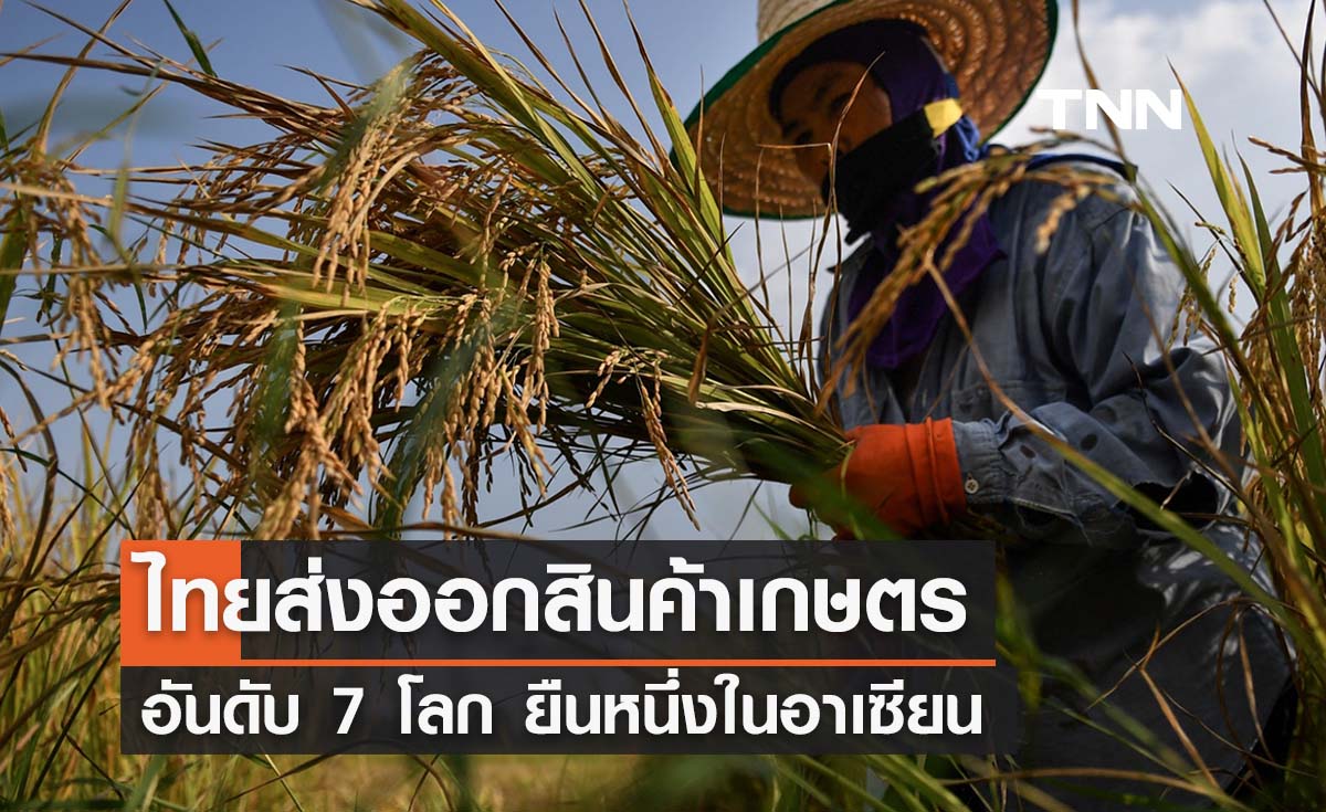 ไทยขึ้นแท่นส่งออกสินค้าเกษตรอันดับ 7 โลก ยืนหนึ่งในอาเซียน 
