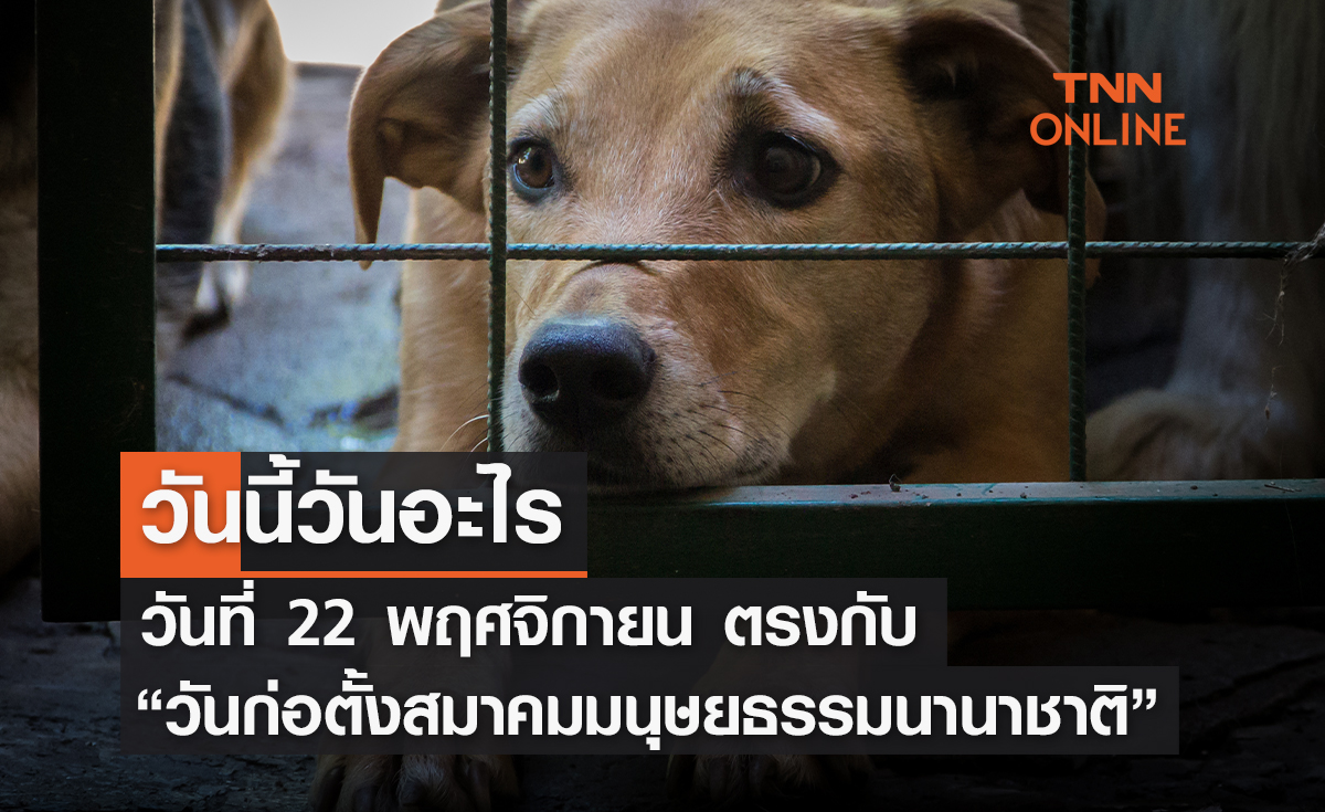 วันนี้วันอะไร 22 พฤศจิกายน ตรงกับ “วันก่อตั้งสมาคมมนุษยธรรมนานาชาติ”