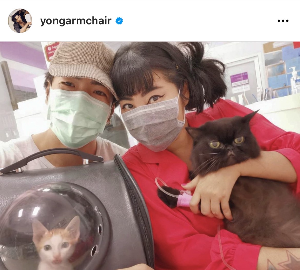 โย่ง อาร์มแชร์ เผย แมวสีดำไม่ใช่ความเชื่อที่โชคร้าย พร้อมเล่าถึงความน่ารัก โย่ง อาร์มแชร์ เผย แมวสีดำไม่ใช่ความเชื่อที่โชคร้าย พร้อมเล่าถึงความน่ารัก