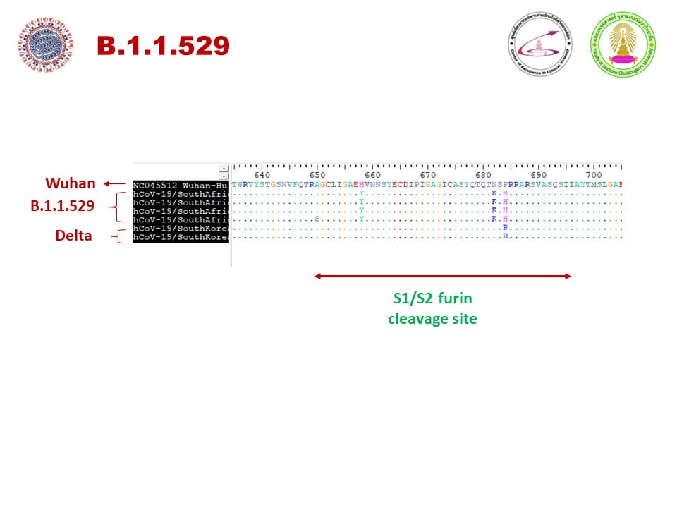 หมอยง ชี้โควิดสายพันธุ์ใหม่ B.1.1.529 แพร่เร็ว-ดื้อวัคซีน แนะคุมนทท.แอฟริกาใต้ หมอยง ชี้โควิดสายพันธุ์ใหม่ B.1.1.529 แพร่เร็ว-ดื้อวัคซีน แนะคุมนทท.แอฟริกาใต้