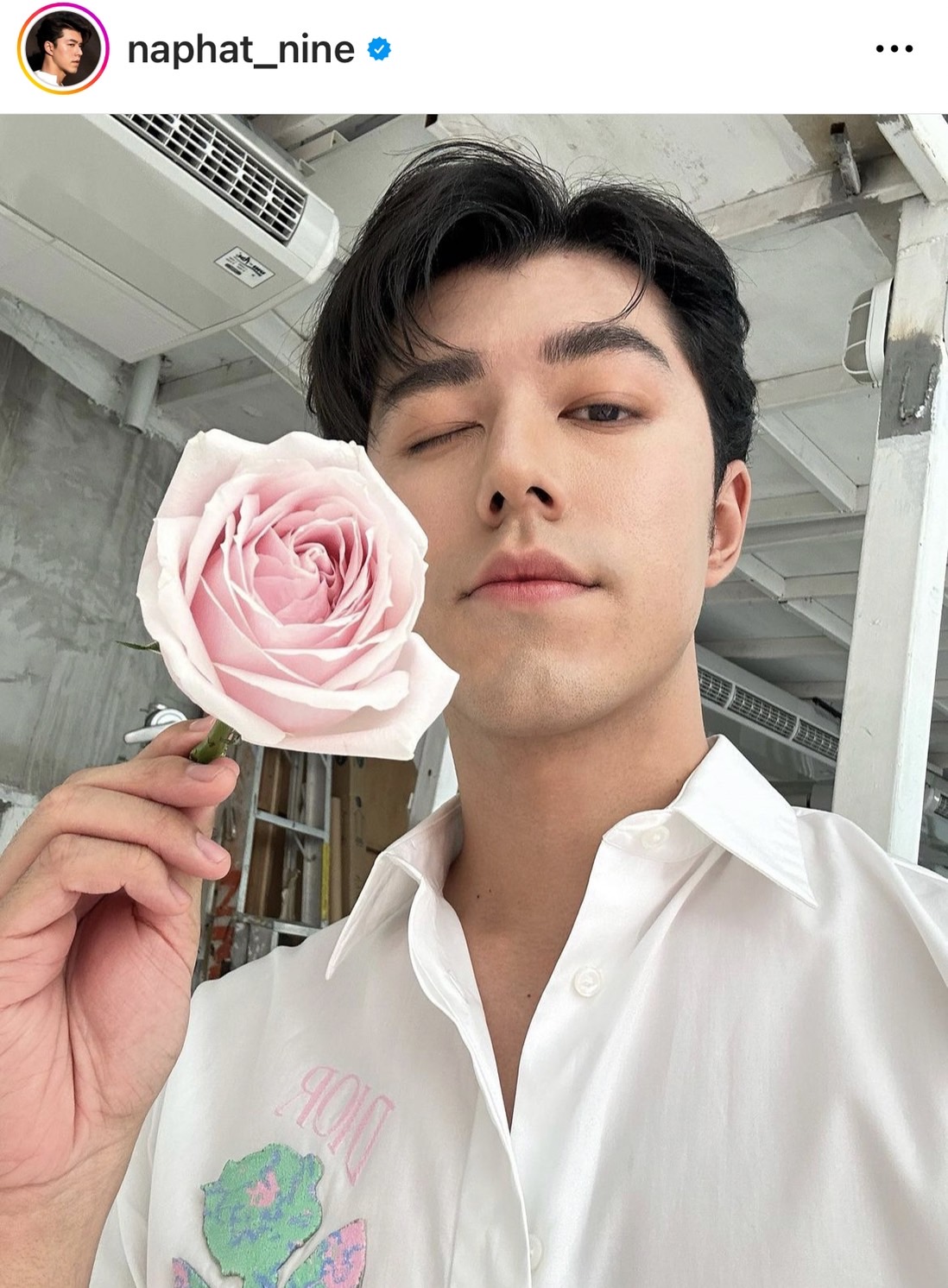 นาย ณภัทร ตอบด้วยภาพนี้! ใช่หนุ่มเสื้อฟ้าช่วย ใบเฟิร์น ลงต้นไม้หลักของบ้าน งานนี้ทำแฟนคลับใจฟู!! 