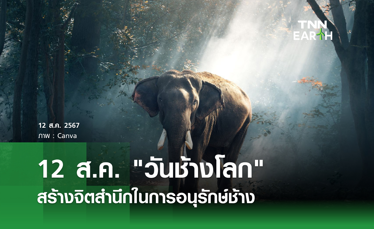 12 สิงหาคม "วันช้างโลก" สร้างจิตสำนึกในการร่วมอนุรักษ์ช้าง