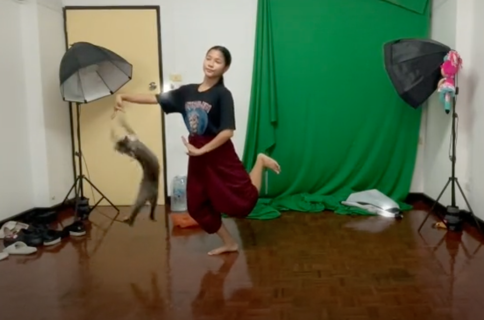 อุปสรรคเรียนออนไลน์! เหมียวป่วนเจ้าอัดท่ารำส่งอาจารย์ไม่เสร็จสักที อุปสรรคเรียนออนไลน์! เหมียวป่วนเจ้าอัดท่ารำส่งอาจารย์ไม่เสร็จสักที