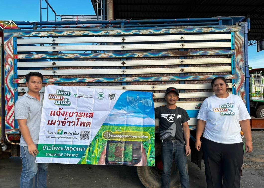 ซีพี “เปิดช่องทางแจ้งเบาะแสเผาข้าวโพด” ตามแนวทาง “ไม่เขา ไม่เผา เราซื้อ”